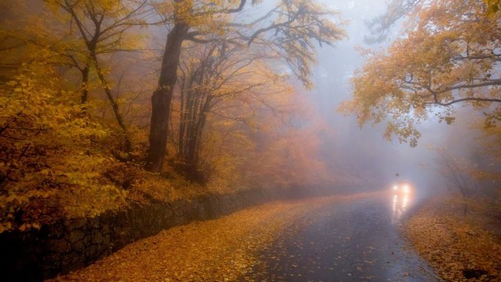 Дождь, туман и гололёд: синоптики рассказали о погоде в ЛНР 16 октября