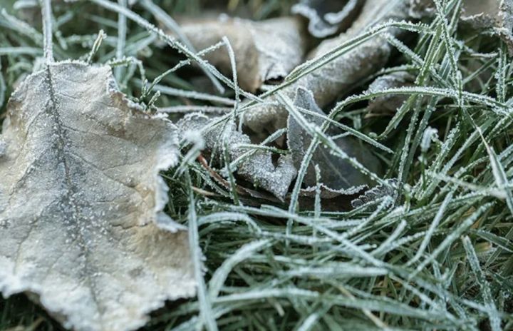 Усиление ветра и заморозки ночью: прогноз погоды в ЛНР и Луганске на 27 октября