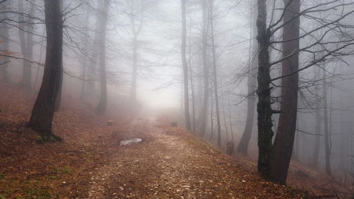 Туман и до -3 градусов ночью: прогноз погоды в ЛНР на 28 октября