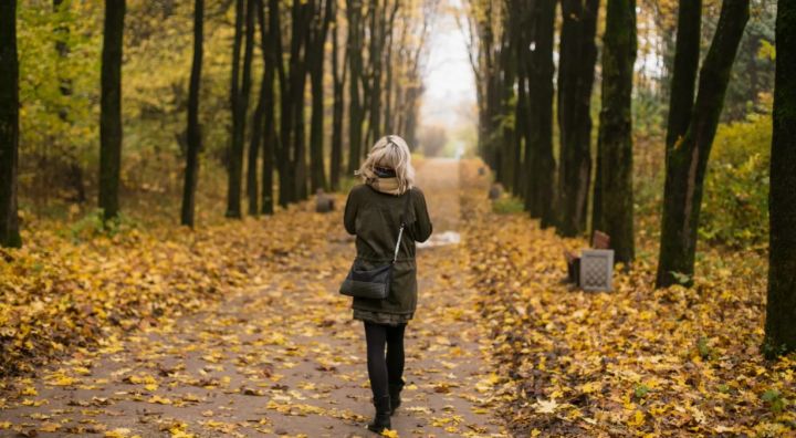 Погода становится похожа на осеннюю: в ЛНР прогнозируют 30 октября морозную ночь