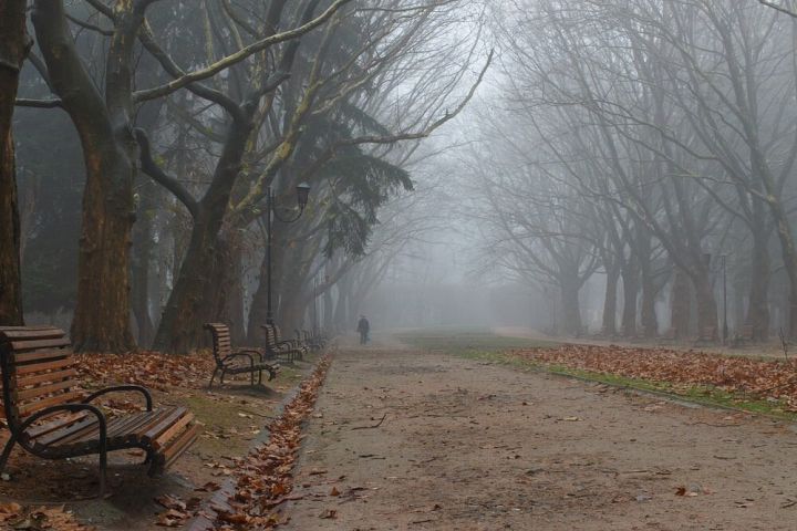 Дождливо, туманно и ветрено: прогноз погоды в ЛНР на последний день октября