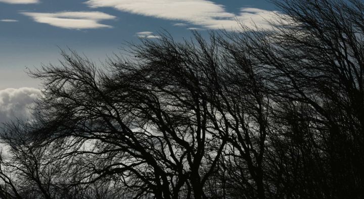 Внимание, жители! Штормовое предупреждение объявлено в ЛНР на 31 октября