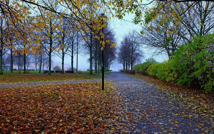 Ноябрь в ЛНР начнётся с прохладной и ветреной погоды: полный прогноз по каждому городу