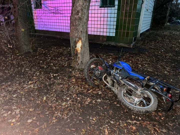 Каникулы идут во вред: двое подростков в ЛНР едва не погибли после столкновения на мопеде с деревом