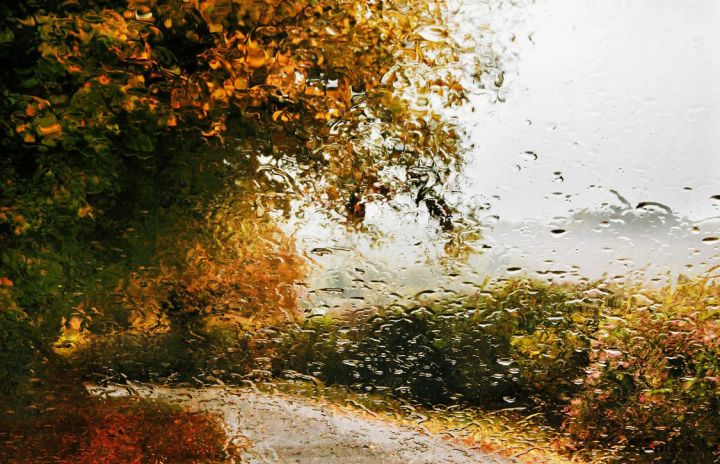 Дождь, сильный ветер и похолодание ожидаются в ЛНР 2 ноября