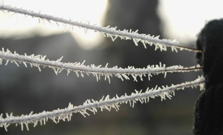 Гололедица на дорогах, налипание снега на проводах и сильнейший ветер: новая неделя в ЛНР начинается с непогоды