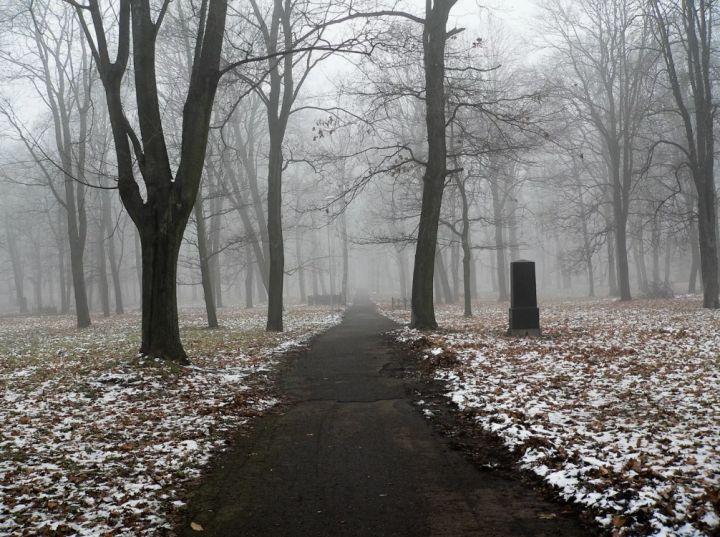 Туман, снег и гололедица: синоптики сделали прогноз погоды в ЛНР на 6 ноября