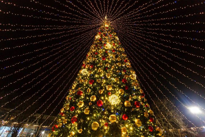 К середине декабря в Луганске установят обновлённую новогоднюю ёлку с сияющим шатром