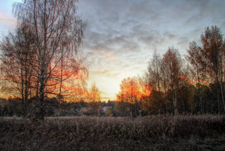 Небольшое потепление придёт в ЛНР: прогноз погоды на 8 ноября