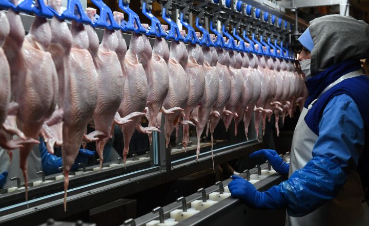 Индейка марки «Индилайт» может исчезнуть из магазинов из-за проблем на предприятии в Ростовской области