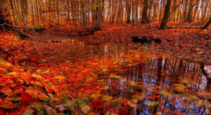 Ночной мороз до -5 и относительное тепло днём прогнозируют синоптики в ЛНР 13 ноября