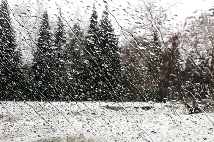 Мокрый снег, гололедица и туман ожидаются на большей части ЛНР 14 ноября