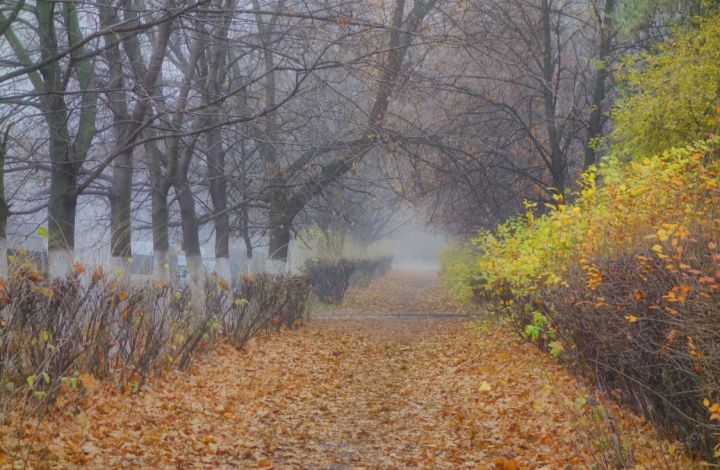 Снег с дождём и гололедица: синоптики сделали прогноз погоды на выходные в ЛНР