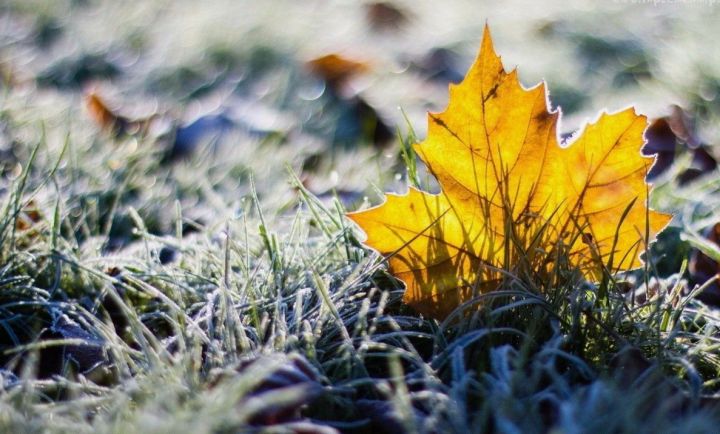 От морозов и снега к +9: в ЛНР пришло потепление