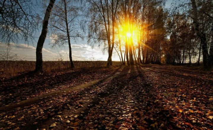 Дневное тепло пока задержится в ЛНР, но ночью будет морозно: прогноз погоды на 20 ноября