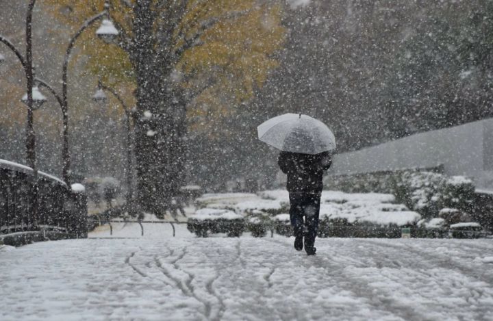 До +16 со штормовым ветром, дождём и снегом: погода в ЛНР 23 ноября окажется непредсказуемой