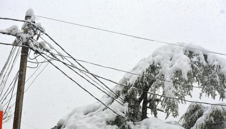 Мокрый снег и сильный ветер ожидаются в ЛНР 25 ноября