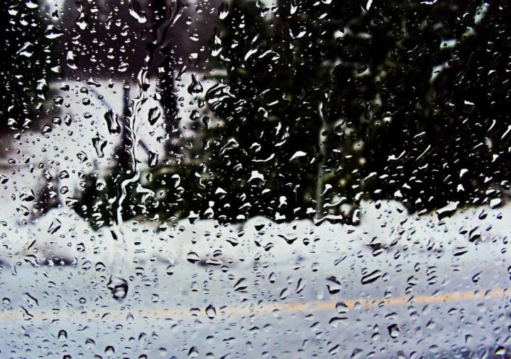 Погода теплом не порадует: синоптики рассказали о прогнозе в ЛНР на 26 ноября