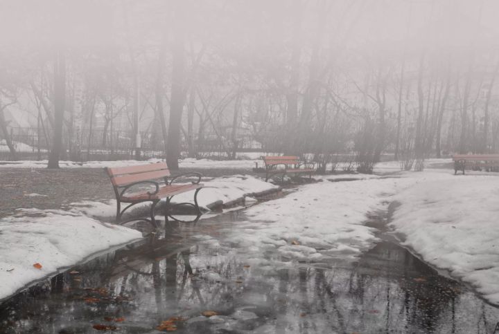 Осень заканчивается холодом: какая погода будет в ЛНР 29 ноября?