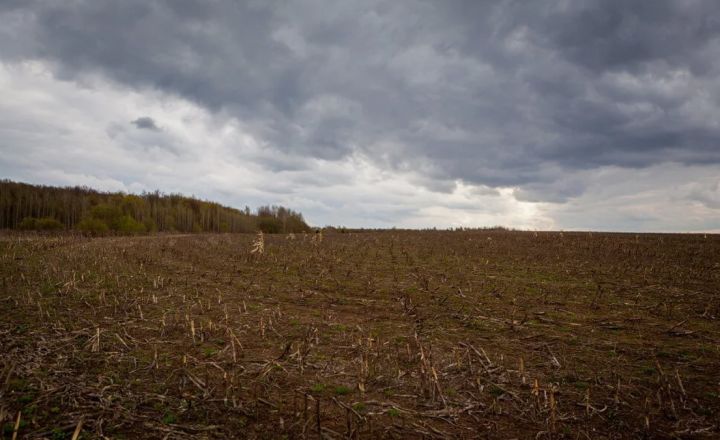 Бесхозной земли больше не будет? В ЛНР идёт инвентаризация земельных участков