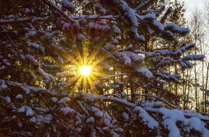 Мороз и солнце: погода в ЛНР 14 декабря будет холодной, но снежной и ясной