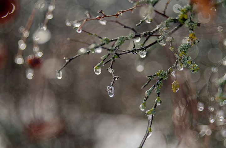 От зимней температуры к весенней: синоптики прогнозируют кратковременную оттепель в ЛНР