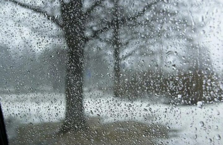 Дождь, туман и минус ночью: прогноз погоды в ЛНР на 22 декабря