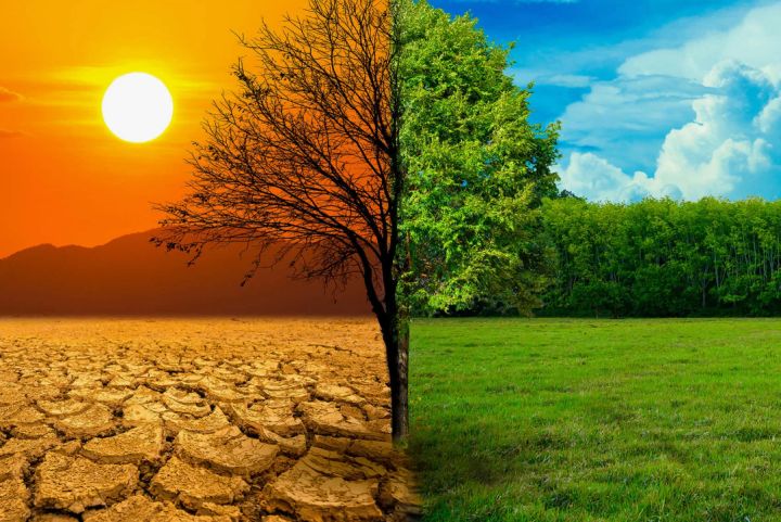 Учёные предрекают усиление глобального потепления в 2025 году: чем это грозит населению?