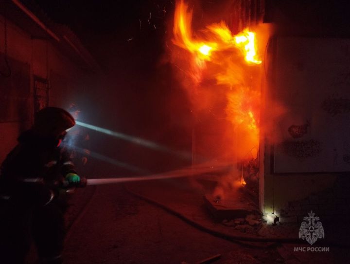 Воспламенились продукты и сам павильон: в Красном Луче ночью сгорел магазин