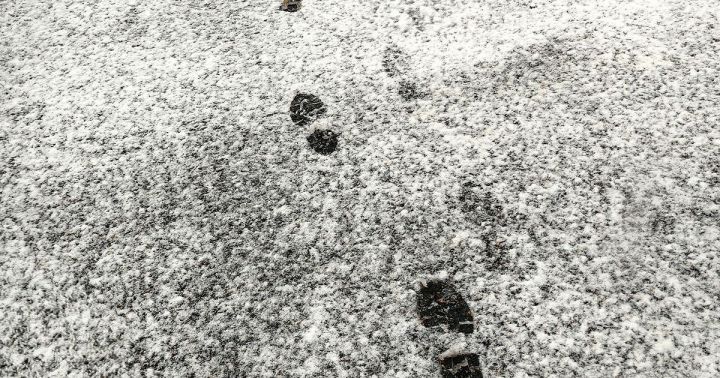 Синоптики прогнозируют в ЛНР 17 января неблагоприятную погоду: ожидается мокрый снег и его налипание на проводах