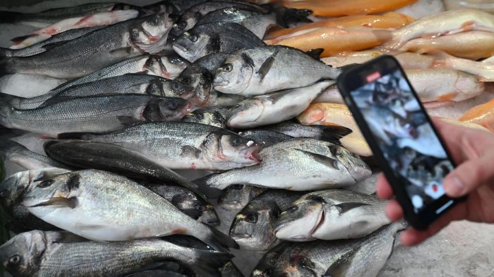 Есть опасность или нет? В Россельхознадзоре разъяснили, можно ли есть выловленную в Черном и Азовском морях рыбу