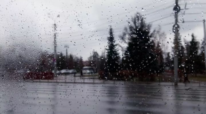 Синоптики рассказали о погоде в ЛНР 23 января: мокрый снег, ветер и морозная ночь