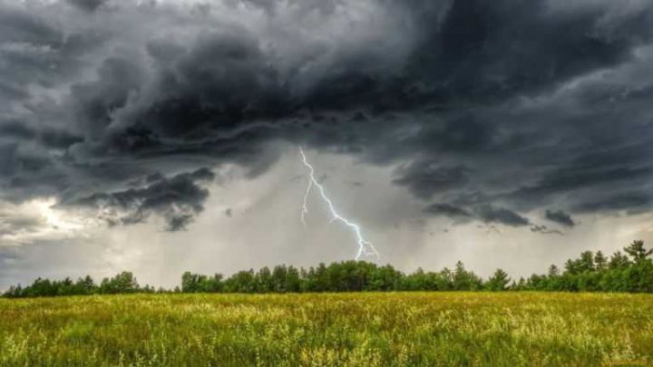Дождь с грозой прогнозируют в Луганске 12 апреля