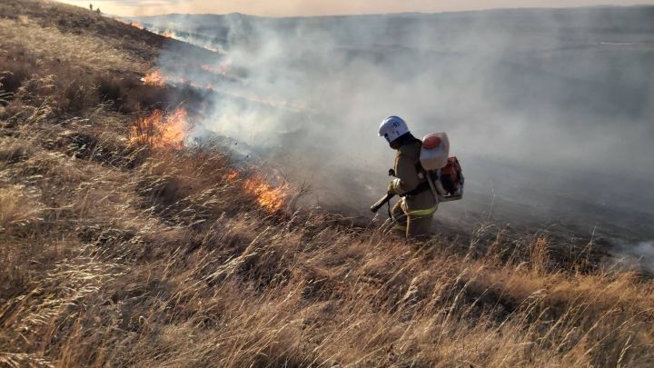 Сильный ветер и большая площадь усложняют тушение масштабного пожара в ЛНР