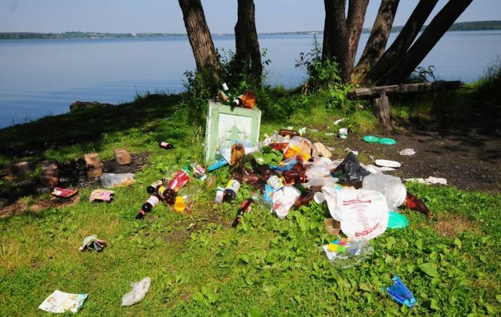 Чисто там, где убирают и штрафуют: краснодонцы рассказали, как поступать с теми, кто засоряет природу