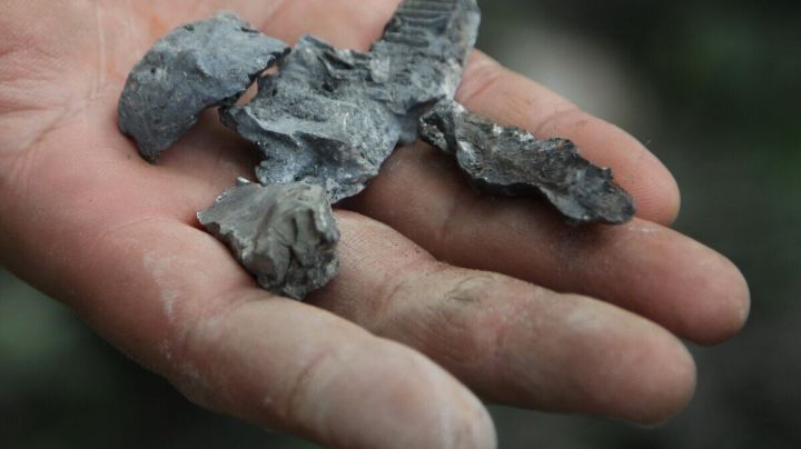 ВСУ снова атаковали территорию ЛНР: повреждён жилой дом, пострадавших нет