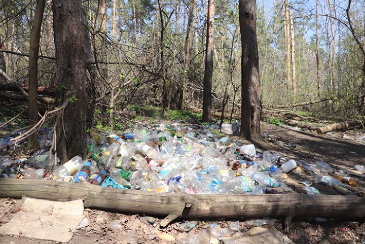 «Чьих бессовестных рук это дело?» О свалках в Краснодонском округе
