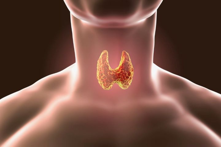 О заболеваниях щитовидной железы и как их распознать: говорим с жителями Свердловска и эндокринологом