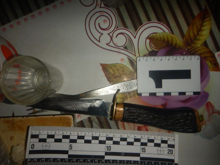 В ЛНР найден мужчина, числившийся без вести пропавшим: его во время застолья зарезала сожительница