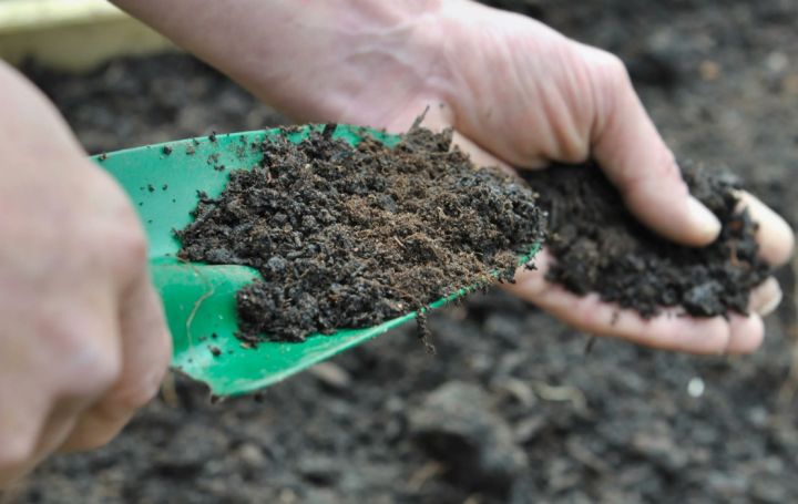 Российские учёные предупредили: в удобрении есть частицы, вредные для здоровья человека