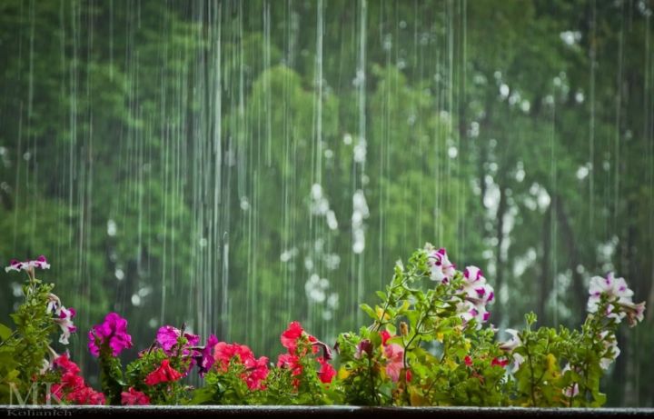 Возможен дождь с грозой: прогноз погоды в ЛНР на 2 июня