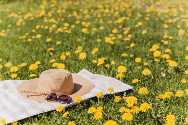 Температура уже перевалит за отметку в +30: синоптики рассказали о погоде в ЛНР 3 июня