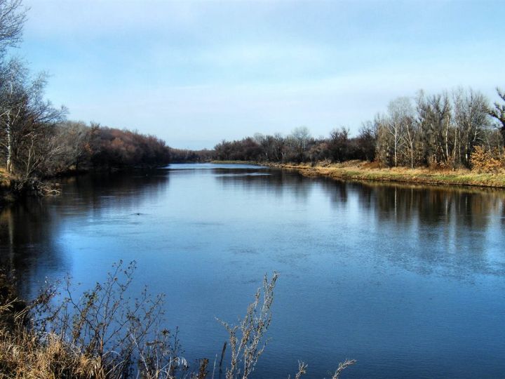 «Осторожно, мины!»: за сутки в ЛНР от взрывов пострадали три человека, еще один погиб