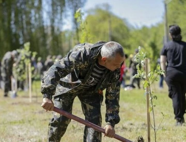Сад памяти высадили в Станице Луганской ко Дню Победы