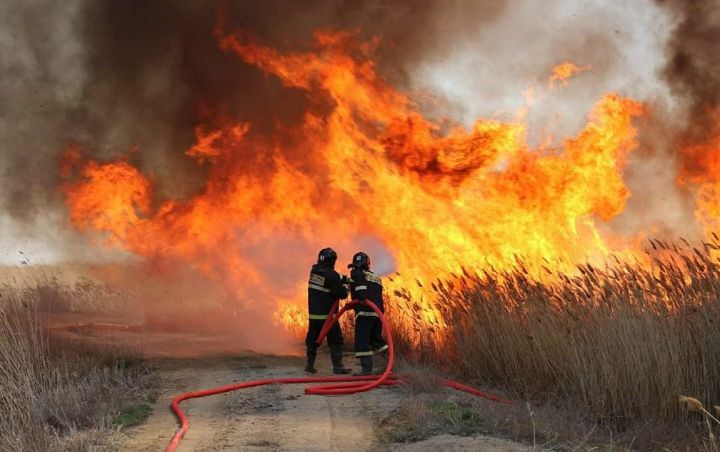 Неизвестные подпалили камыш в Счастье