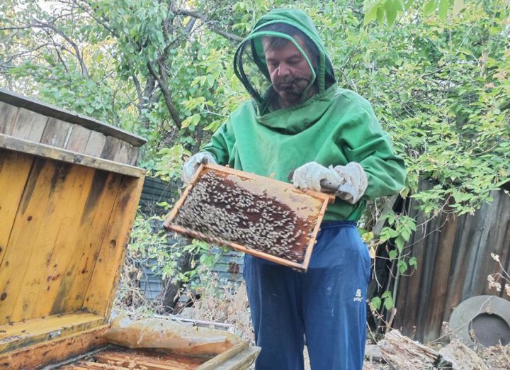 Полезнее всего – прополис, а самый вкусный мёд – из разнотравья: интервью с опытным пчеловодом Краснодона Олегом Снагитским