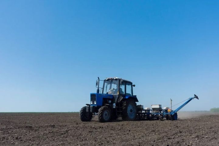 В Станично-Луганском районе завершается посевная кампания