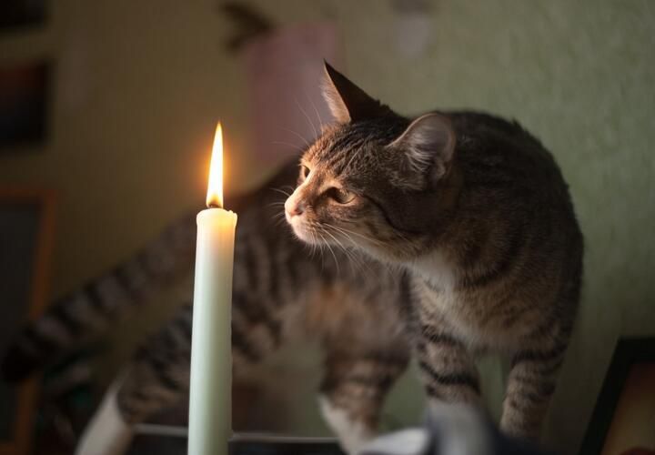 Непогода наделала дел: В ЛНР более 10 тысяч абонентов остались без света