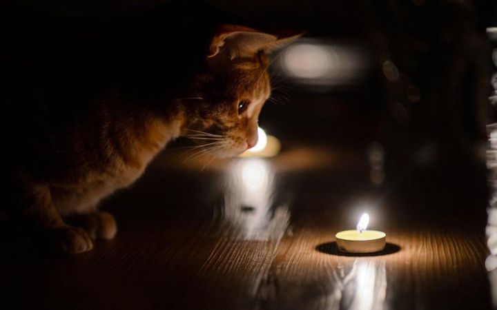 В ЛНР из-за аварии без света остались более 270 абонентов