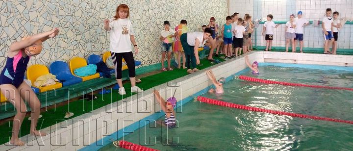 Первенство по плаванию провели среди юных свердловчан